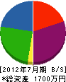 渡辺設備 貸借対照表 2012年7月期