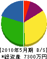 千原コーテック 貸借対照表 2010年5月期