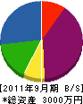 長島組 貸借対照表 2011年9月期