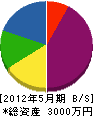 岡田建創 貸借対照表 2012年5月期
