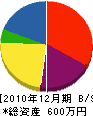 豊田設備 貸借対照表 2010年12月期