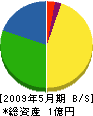 旭電通工業 貸借対照表 2009年5月期