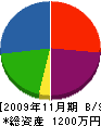 日陽 貸借対照表 2009年11月期