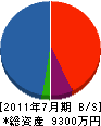 丸栄電気水道工業 貸借対照表 2011年7月期