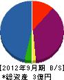 中村シラトリ 貸借対照表 2012年9月期