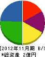 坂正 貸借対照表 2012年11月期