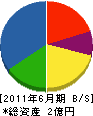 竹松設備 貸借対照表 2011年6月期