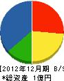 渡辺工匠 貸借対照表 2012年12月期