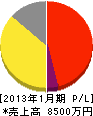 日本消毒 損益計算書 2013年1月期