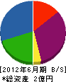 菅組 貸借対照表 2012年6月期