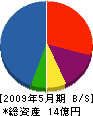 松田組 貸借対照表 2009年5月期