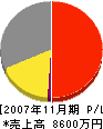 寺島造園 損益計算書 2007年11月期