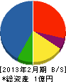 山崎総建 貸借対照表 2013年2月期