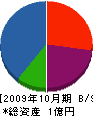 渡辺建設 貸借対照表 2009年10月期