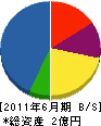 庄司工業 貸借対照表 2011年6月期