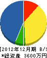 桜井工務店 貸借対照表 2012年12月期
