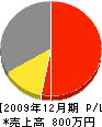 辻本組 損益計算書 2009年12月期