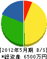 塚本建設 貸借対照表 2012年5月期