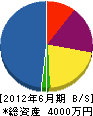 斉藤電気 貸借対照表 2012年6月期
