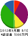 江津塗装 貸借対照表 2012年9月期