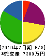 稗田設備工業 貸借対照表 2010年7月期