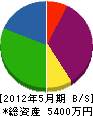 柳田電気興業 貸借対照表 2012年5月期