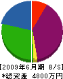 小田島鉄工所 貸借対照表 2009年6月期