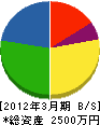亀井動力工業 貸借対照表 2012年3月期