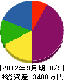 渡辺土建 貸借対照表 2012年9月期