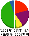 佐久間工務店 貸借対照表 2009年10月期