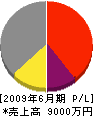 田邊工務店 損益計算書 2009年6月期