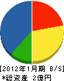 宮澤工業 貸借対照表 2012年1月期