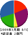 岐阜電設 貸借対照表 2009年3月期