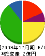 栄新テクノ 貸借対照表 2009年12月期