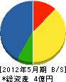 壱岐土木工業 貸借対照表 2012年5月期