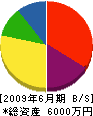 平田組 貸借対照表 2009年6月期
