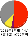 渡辺電業 損益計算書 2012年6月期