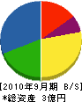 田中建興 貸借対照表 2010年9月期