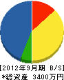 武田芳翠園 貸借対照表 2012年9月期
