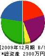 伊藤商会 貸借対照表 2009年12月期