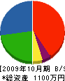 持田造園 貸借対照表 2009年10月期
