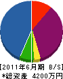コスモ技研 貸借対照表 2011年6月期