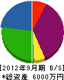 宮川電気 貸借対照表 2012年9月期