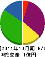 佐野総建 貸借対照表 2011年10月期