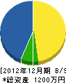 藤田建設 貸借対照表 2012年12月期