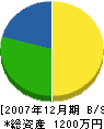 田中興業 貸借対照表 2007年12月期