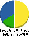 桃山造園 貸借対照表 2007年12月期