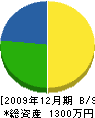 橋本工務店 貸借対照表 2009年12月期