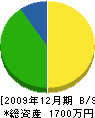 片岡建築 貸借対照表 2009年12月期
