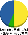 栃下建設 貸借対照表 2011年9月期